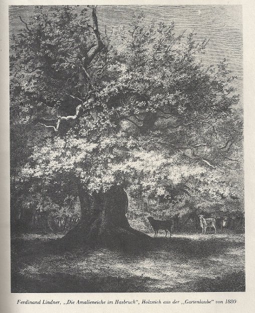 Ferdinand Lindner Die Amalieneiche im Hasbruch Holzstich aus der Gartenlaube von 1880