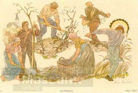image315